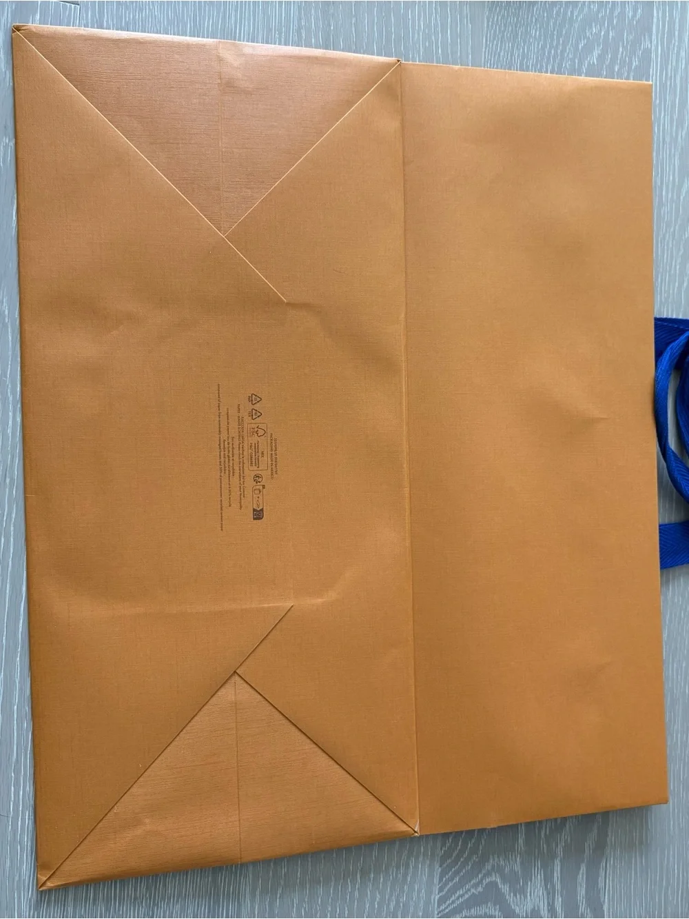 Louis Vuitton Medium Large Shopping Gift Bag